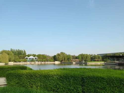 保定市農業生態園門票,保定市農業生態園游玩攻略 360地圖