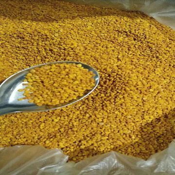 安圖縣綠森生態(tài)園較新產(chǎn)品大全