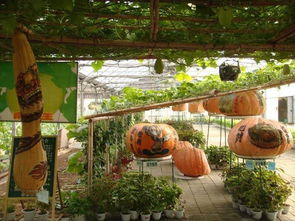 集發(fā)生態(tài)園之旅