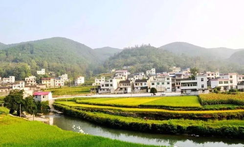 7 種模式讓鄉(xiāng)村旅游開發(fā)豐富多彩