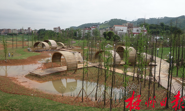 親水景觀點綴濕地生態(tài)園