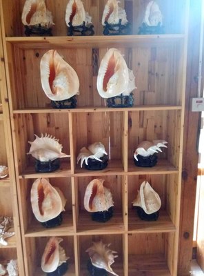 天賜福地--生態園,不一樣的農產品