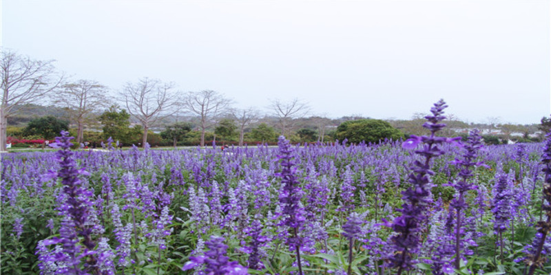永記生態園門票價格-永記生態園門票預訂-永記生態園