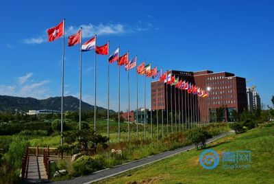 中德生態(tài)園集聚強勁帶動力,助力青島西海岸新區(qū)穩(wěn)健發(fā)展!