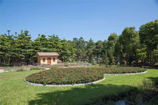 麻涌最美生態(tài)園 免費入園，盡享自然饋贈